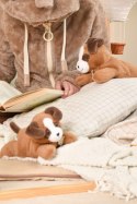 DOUDOU - obciążeniowy pluszowy pies Les P'tits Relax, Histoire d'Ours, 30 cm, brązowy