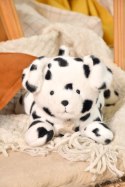DOUDOU - obciążeniowy pluszowy pies dalmatyńczyk Les P'tits Relax, Histoire d'Ours, 22 cm, biały