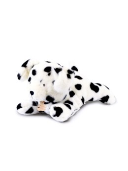 DOUDOU - obciążeniowy pluszowy pies dalmatyńczyk Les P'tits Relax, Histoire d'Ours, 30 cm, biały