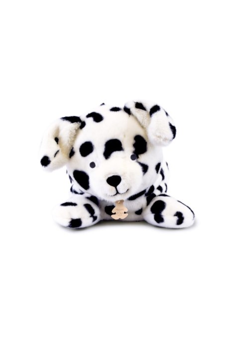 DOUDOU - obciążeniowy pluszowy pies dalmatyńczyk Les P'tits Relax, Histoire d'Ours, 30 cm, biały