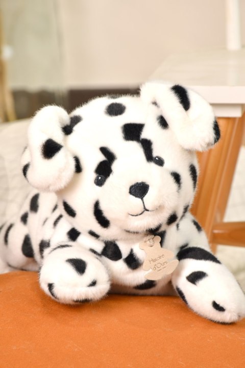 DOUDOU - obciążeniowy pluszowy pies dalmatyńczyk Les P'tits Relax, Histoire d'Ours, 30 cm, biały