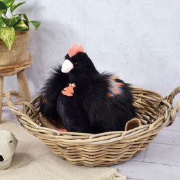 DOUDOU - przytulanka kurka Poulette, Histoire d'Ours, 28 cm, czarna