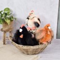 DOUDOU - przytulanka kurka Poulette, Histoire d'Ours, 28 cm, czarna