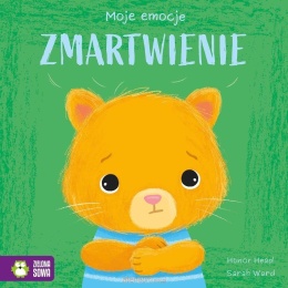 Moje emocje. Zmartwienie